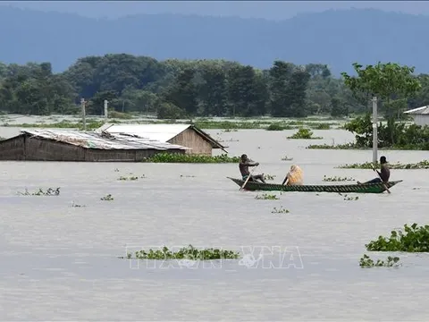 Mưa lũ hoành hành bang Đông Bắc Ấn Độ