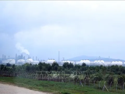 Thanh Hóa: Bác bỏ phương án nhận chìm 6,9 triệu m3 bùn xuống biển