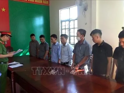 Lâm Đồng: Khởi tố 7 cán bộ 'bảo kê' phá rừng