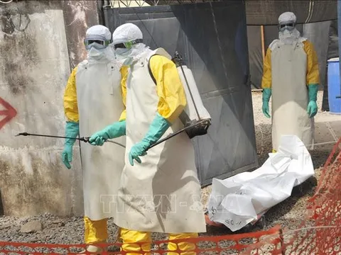 Giới chuyên gia cảnh báo kỷ nguyên bùng phát dịch bệnh lây truyền từ động vật