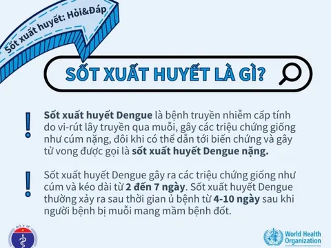 WHO cảnh báo các dấu hiệu sốt xuất huyết nặng và cách xử trí