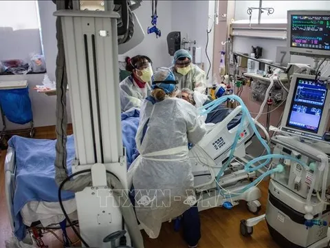 Nguy cơ tái bùng phát dịch tại Mỹ do các biến thể phụ mới của Omicron