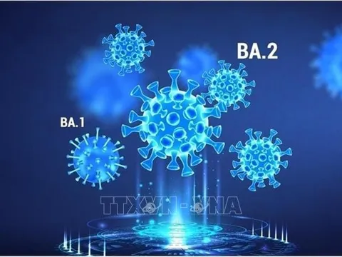 Ứng dụng trí tuệ nhân tạo phát hiện sớm các biến thể COVID-19 đáng lo ngại