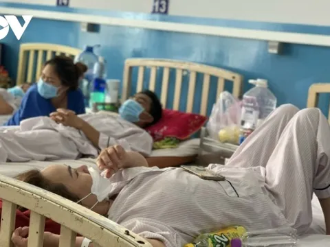 TP.HCM lên kịch bản thu dung 6.000 ca bệnh sốt xuất huyết