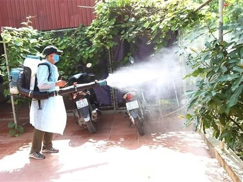 Tây Ninh ghi nhận trên 5.000 ca mắc sốt xuất huyết, có 5 ca tử vong