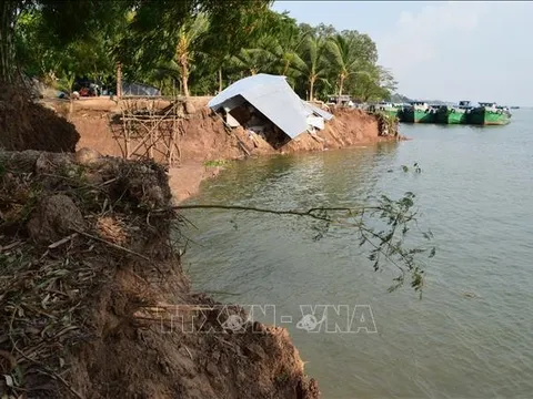 Xử lý khẩn cấp sạt lở bờ sông Tiền