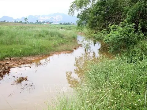 Tín hiệu tích cực từ dòng Nậm Tôn