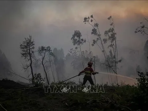 Châu Âu căng thẳng chống cháy rừng, 70 thành phố ở Bồ Đào Nha đối mặt rủi ro lớn