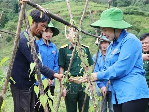 Trí thức trẻ tình nguyện về vùng khó Lai Châu