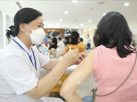 Bổ sung kháng thể bằng tiêm vaccine COVID-19 để sống an toàn trong dịch