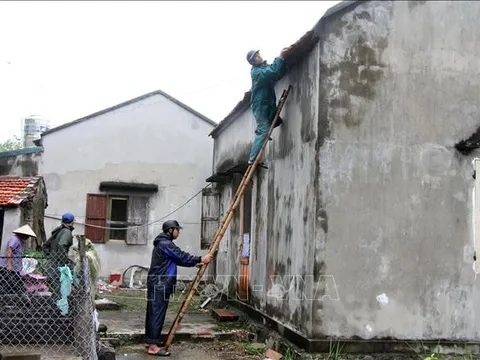 Huyện đảo Cô Tô ứng phó với bão số 2