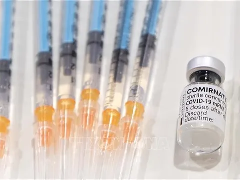 EU lên kế hoạch cấp phép tiêm vaccine của Pfizer phòng các biến thể của Omicron