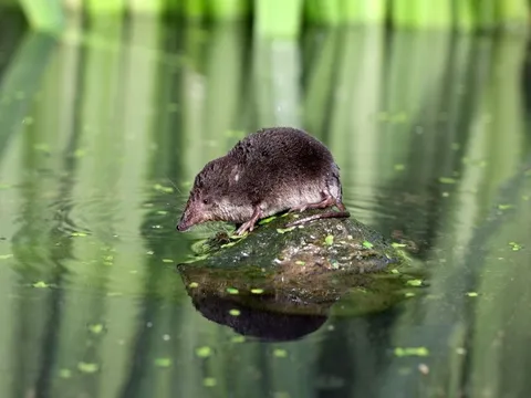 Đại dịch COVID-19 chỉ là sự khởi đầu cuộc chiến chống virus