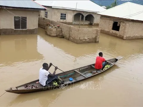 Nigeria: Lũ lụt nghiêm trọng phá huỷ hàng nghìn ngôi nhà, làm ít nhất 50 người thiệt mạng