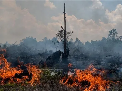Indonesia huy động nhiều máy bay túc trực phòng cháy rừng