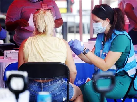 WHO nghiên cứu khả năng đột biến gen khiến bệnh đậu mùa khỉ lây lan