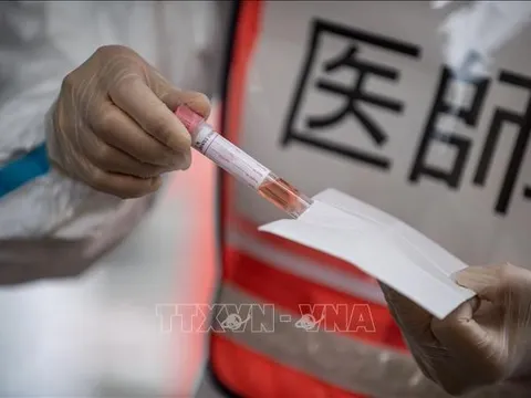 Ca mắc COVID-19 tăng cao kỷ lục, Nhật Bản nới lỏng tiếp cận kit xét nghiệm, thuốc chữa