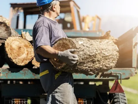 Người dân châu Âu trở lại sưởi ấm bằng củi vì giá khí đốt cao