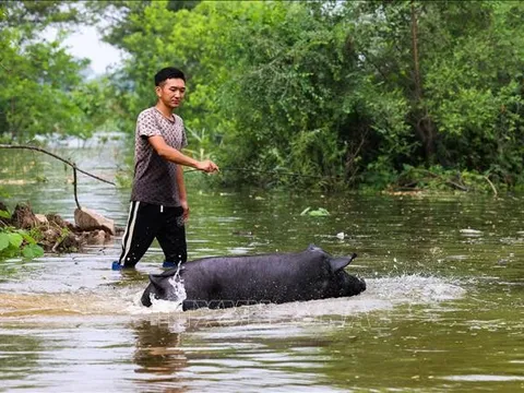 Số người thiệt mạng do lũ quét ở Trung Quốc gia tăng