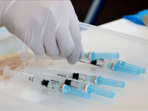 Nhật Bản: Tăng cường tiêm phòng COVID-19 cho người trẻ