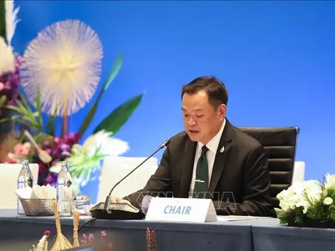 Cuộc họp cấp cao APEC lần thứ 12 về Y tế và Kinh tế