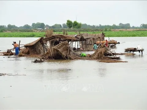 Pakistan: Lũ lụt khiến hơn 800 người thiệt mạng, phá huỷ gần hàng chục nghìn ngôi nhà