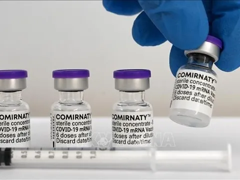 BioNTech sẽ sớm cung cấp vaccine phòng các biến thể của Omicron