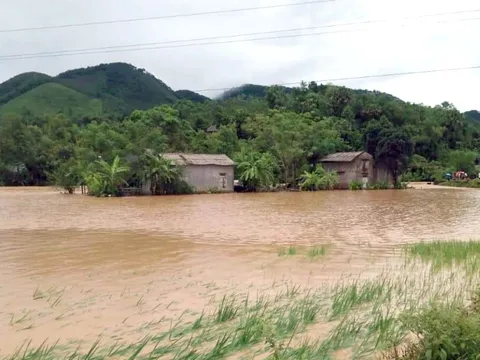 Phú Thọ: Mưa lớn diện rộng gây sạt lở, ngập úng ở nhiều địa phương
