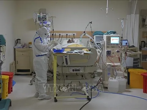 Vaccine ngừa COVID-19 dạng xịt mũi được sử dụng hạn chế tại Ấn Độ