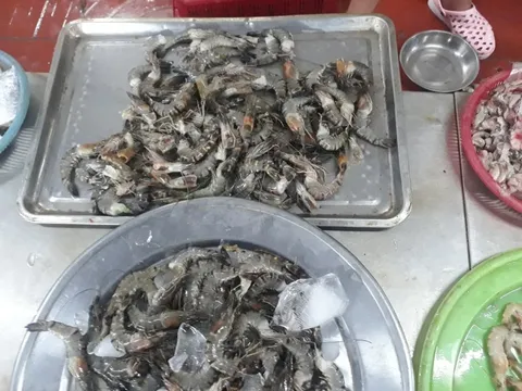 Đà Nẵng: Mua tôm tươi, tá hỏa phát hiện chất bột trắng chưa xác định