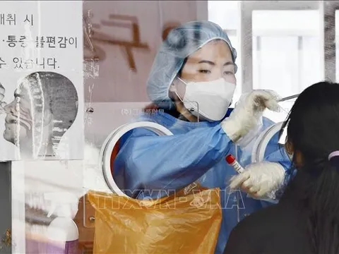 Hàn Quốc: Cảnh báo 'nguy cơ kép' về dịch bệnh vào mùa Thu - Đông