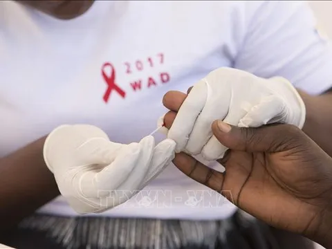 Nỗ lực chống HIV, lao và sốt rét đã giúp cứu sống 50 triệu người trong 20 năm