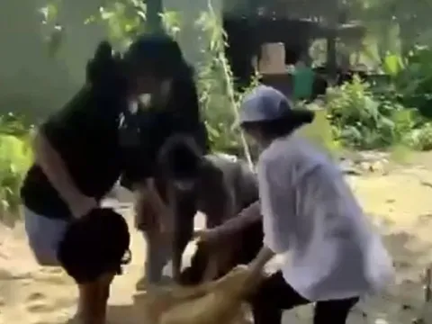 Bạo lực học đường: Bao giờ chấm dứt?