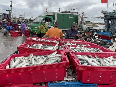 Quảng Nam, Đà Nẵng, Thừa Thiên - Huế... hối hả ứng phó bão Noru