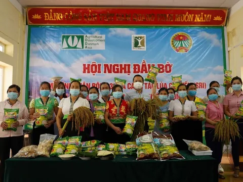 Tăng thu nhập từ mô hình nông nghiệp ứng phó biến đổi khí hậu