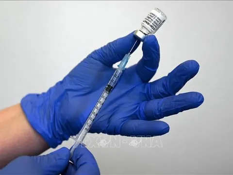 Singapore phê duyệt thêm vaccine ngừa COVID-19 cho trẻ từ 6 tháng đến 4 tuổi