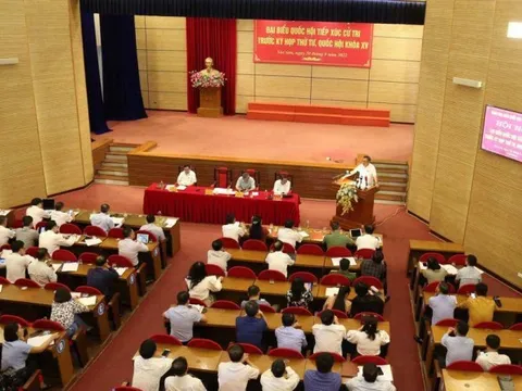 Chủ tịch Hà Nội: Những người bị bắt đều có "leng keng, ting ting" cả