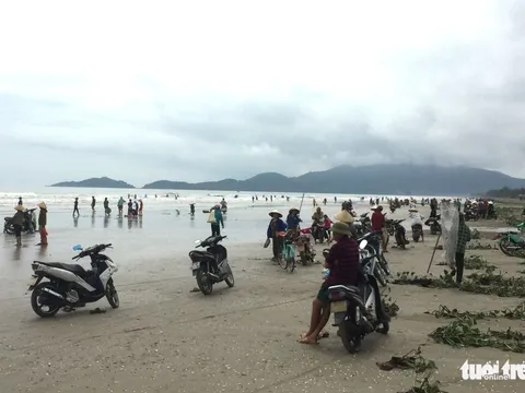 Hàng ngàn người hò nhau đi vớt ‘lộc biển’ sau mưa bão