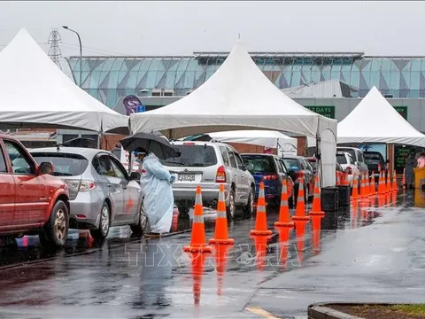 New Zealand có thể đối mặt với làn sóng dịch COVID-19 mới trước cuối năm 2022