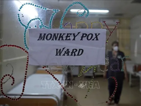 Những trường hợp nào được coi là nghi ngờ mắc bệnh đậu mùa khỉ?