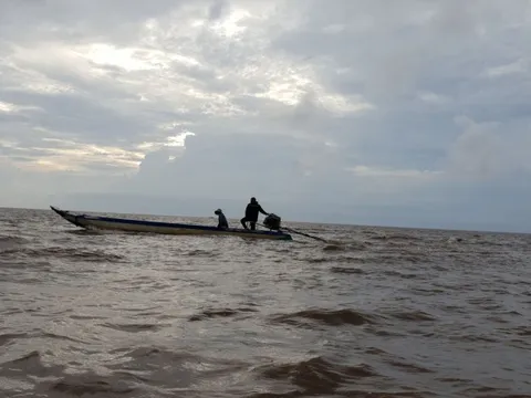 Bắt tạm giam nguyên Giám đốc Vườn quốc gia Mũi Cà Mau tham ô hơn 6,5 tỉ đồng