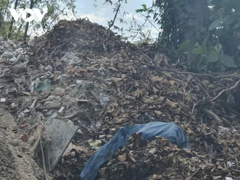 Số ca mắc sốt xuất huyết ở Đà Nẵng tăng cao nhất trong 5 năm qua