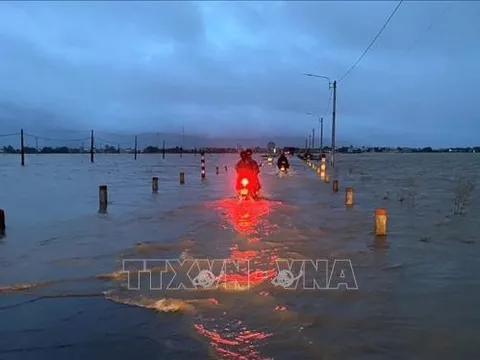Mưa lớn gây thiệt hại hơn 200 ha cây trồng, sạt lở nhiều nơi ở Bình Định