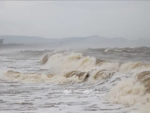Chủ động ứng phó với vùng áp thấp khả năng mạnh lên thành áp thấp nhiệt đới
