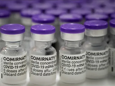 Hong Kong phê duyệt vaccine ngừa COVID-19 của Pfizer/BioNTech cho trẻ dưới 5 tuổi