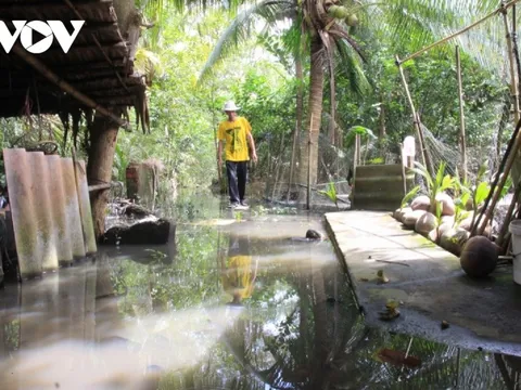 Cuộc sống của người dân Hậu Giang bị đảo lộn vì triều cường lập đỉnh