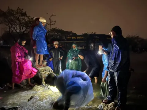 Người dân đục bờ đê thoát nước giữa đêm