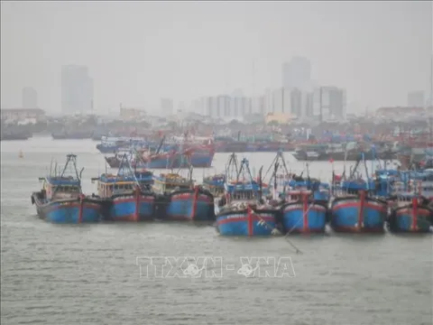 Ba kịch bản của bão số 6, theo dõi chặt chẽ diễn biến để chủ động ứng phó