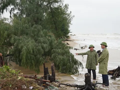 Quảng Bình: Biển xâm thực nghiêm trọng