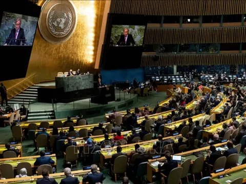 Việt Nam đề cao các nguyên tắc cơ bản của luật quốc tế và nghĩa vụ bảo vệ môi trường